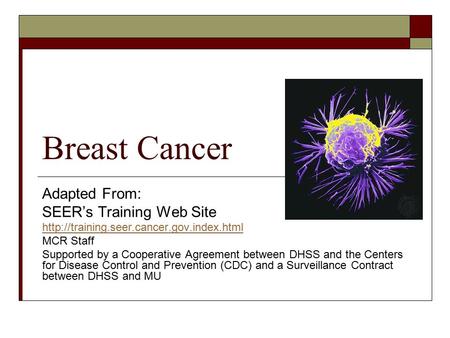 Breast Cancer Adapted From: SEER’s Training Web Site  MCR Staff Supported by a Cooperative Agreement between.