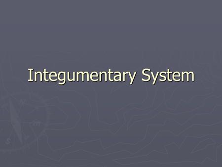 Integumentary System.