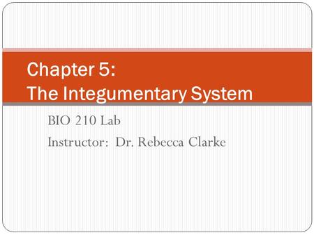 Chapter 5: The Integumentary System