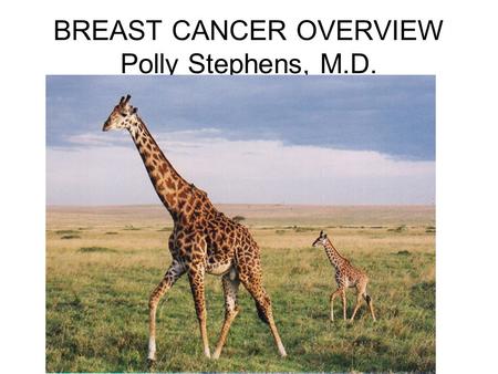 BREAST CANCER OVERVIEW Polly Stephens, M.D.. BREAST ANATOMY.