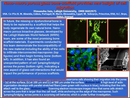 Nano-macro porous glass bone-scaffold provides new insight of cell migration Nano-macro porous glass bone-scaffold provides new insight of cell migration.