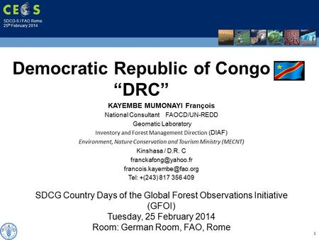 SDCG-5 / FAO Rome 25 th February 2014 1 KAYEMBE MUMONAYI François National Consultant FAOCD/UN-REDD Geomatic Laboratory Inventory and Forest Management.