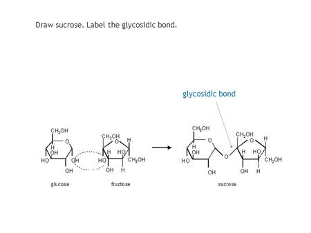 Draw sucrose. Label the glycosidic bond.