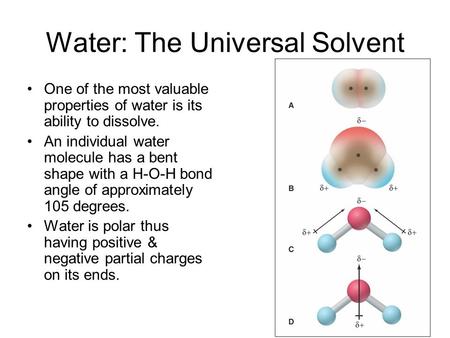 Water: The Universal Solvent