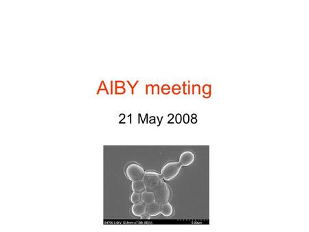 AIBY meeting 21 May 2008. ICT, Prague – who we are? public university providing education and pursuing scientific, research, development and implementation.