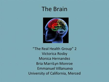 The Brain “The Real Health Group” 2 Victorica Rosby Monica Hernandez Bria MarriLyn Monroe Emmanuel Villanueva University of California, Merced.