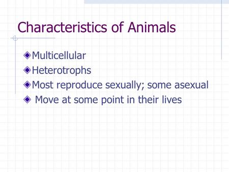 Characteristics of Animals