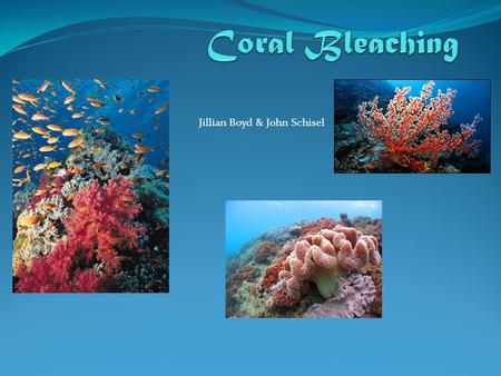 Jillian Boyd & John Schisel. Causes Climate change Increased CO₂ Other environmental stressors; Hurricanes Pollution (agricultural runoff) Chemical changes.
