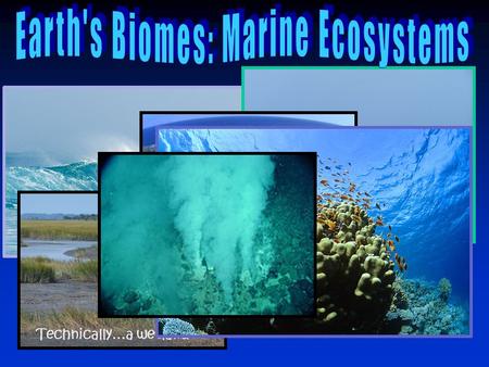 Earth's Biomes: Marine Ecosystems