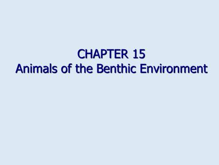 CHAPTER 15 Animals of the Benthic Environment