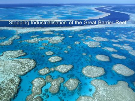 Stopping Industrialisation of the Great Barrier Reef.