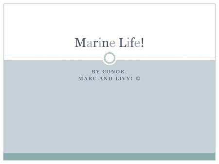 BY CONOR, MARC AND LIVY! Marine Life! THE BOX JELLYFISH Box Jellyfish are found in Northern Aussie Coastline. This jellyfish has tentacles that reach.