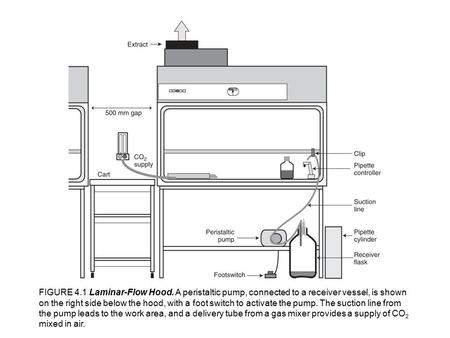 FIGURE 4. 1 Laminar-Flow Hood