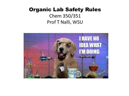 Organic Lab Safety Rules Chem 350/351 Prof T Nalli, WSU.