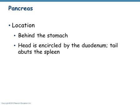 Pancreas Location Behind the stomach