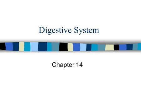 Digestive System Chapter 14.