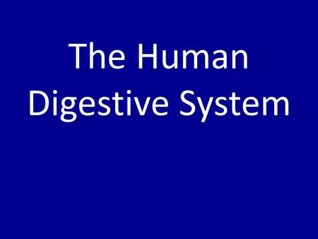 The Human Digestive System