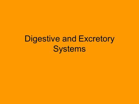 Digestive and Excretory Systems. Did you know that your digestive system measure about 30 feet long – from end to end?