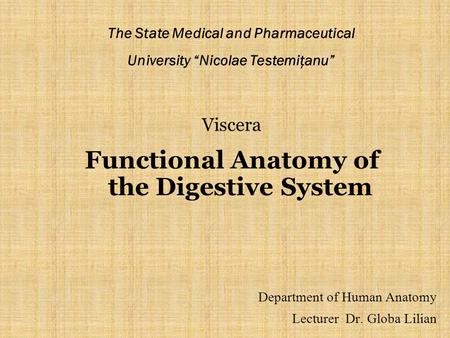 Functional Anatomy of the Digestive System