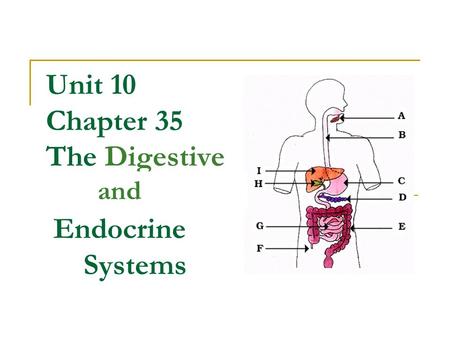 Unit 10 Chapter 35 The Digestive Endocrine Systems