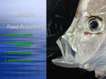 Feeding & Food Processing 1. Structure (review) 2. Function (behavior, physiology) 3. Nutritional needs 4. Digestive efficiency.