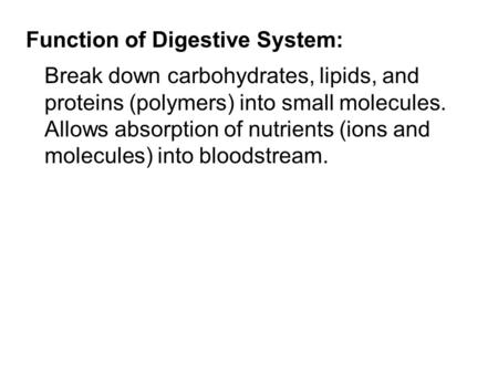 Function of Digestive System: Break down carbohydrates, lipids, and proteins (polymers) into small molecules. Allows absorption of nutrients (ions and.