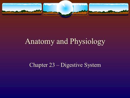 Anatomy and Physiology