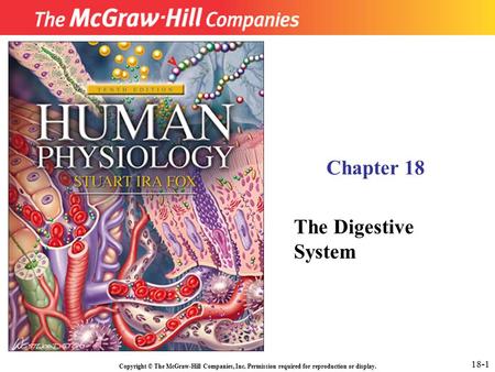 Chapter 18 The Digestive System 18-1.