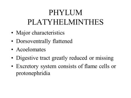 PHYLUM PLATYHELMINTHES