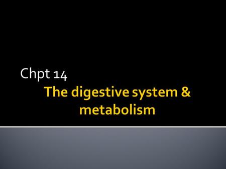 Chpt 14.  Ingestion – taking in of food  Digestion – breaking down of food, both physically & chemically  Absorption – movement of nutrients throughout.