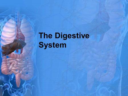 The Digestive System.