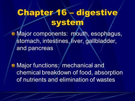 Chapter 16 – digestive system