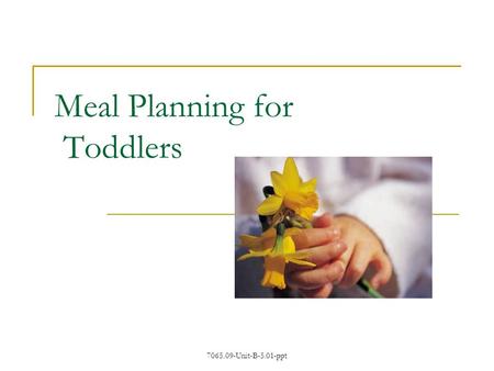 Meal Planning for Toddlers