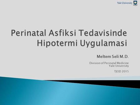 Meltem Seli M.D. Division of Perinatal Medicine Yale University TJOD 2015.