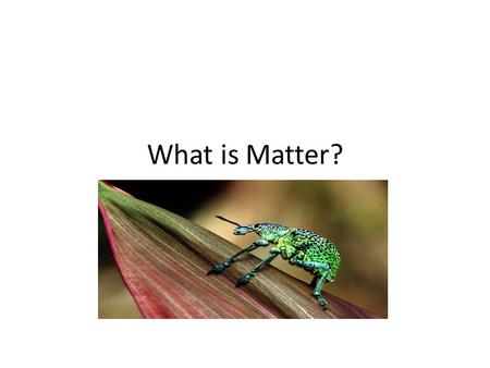 What is Matter?.