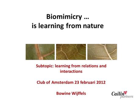 Biomimicry … is learning from nature Subtopic: learning from relations and interactions Club of Amsterdam 23 februari 2012 Bowine Wijffels.