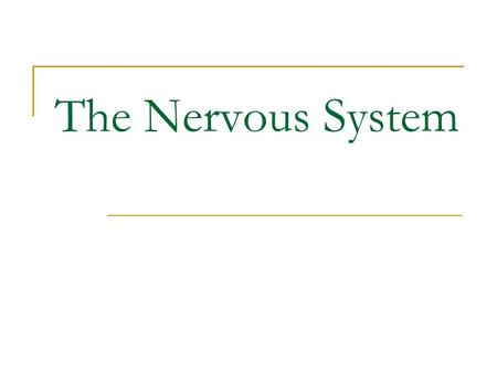 The Nervous System. The Nervous System: Chief control system; voluntary or involuntary Responds to changes in/out of body 100 Billion cells throughout.