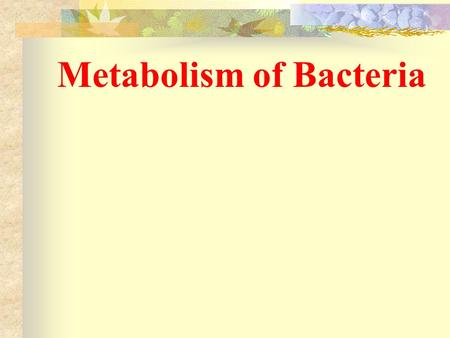 Metabolism of Bacteria By Ms.Patchanee Yasurin 471-9893 Faculty of Biotechnology Assumption Univerity.