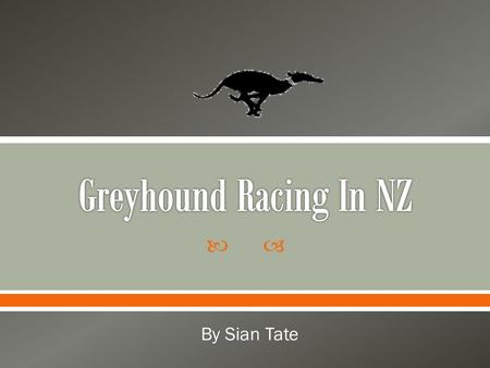  By Sian Tate.  Greyhound Racing New Zealand – GRNZ / NZGRA  Regional greyhound racing clubs  Greyhounds as Pets - GAP  Breeders, owners and trainers.