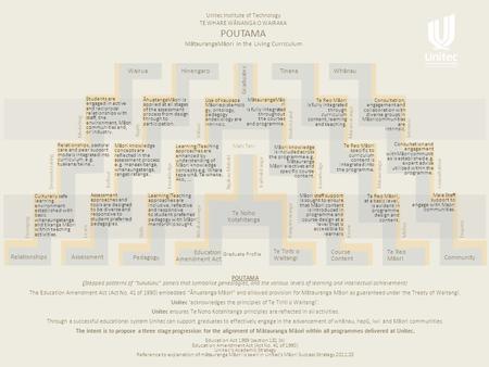 Modeling Demonstrating Emerging Reflect Apply Learn Know Knowledge Understand Values Māramatanga Intrinsic Knowledge Mātauranga Consultation Skills Mōhio.