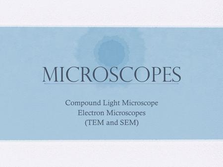 Compound Light Microscope