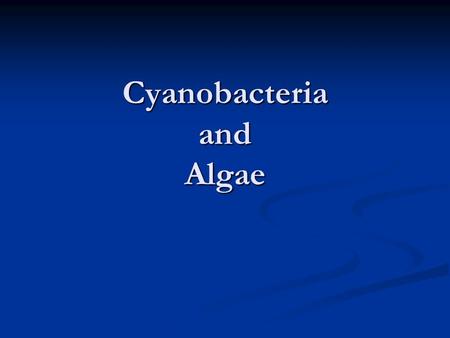 Cyanobacteria and Algae. Prokaryotes and Eukaryotes ProkaryotesEukaryotes “primitive nucleus”“true nucleus” Lack clear nucleus and other inclusions Clear.