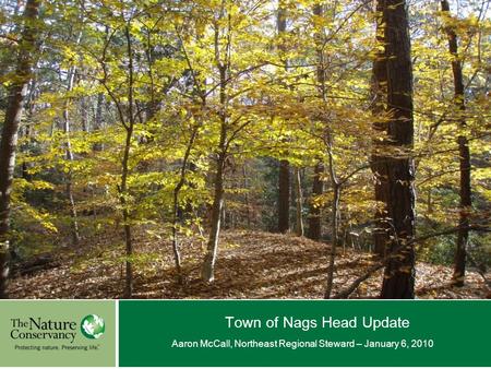 Town of Nags Head Update Aaron McCall, Northeast Regional Steward – January 6, 2010 © Insert Image Credit.