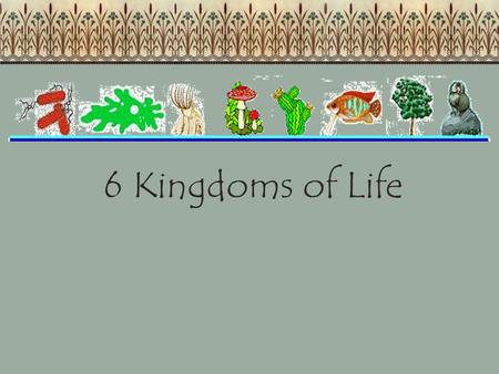 6 Kingdoms of Life.