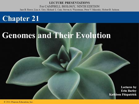 LECTURE PRESENTATIONS For CAMPBELL BIOLOGY, NINTH EDITION Jane B. Reece, Lisa A. Urry, Michael L. Cain, Steven A. Wasserman, Peter V. Minorsky, Robert.