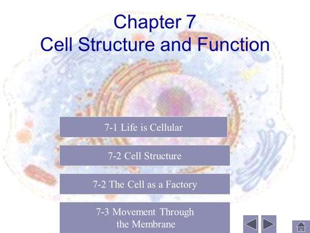 Chapter 7 Cell Structure and Function