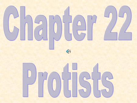 Kingdom Protista Protists are united on the basis that they are not fungi, plants, or animals link between single-celled prokaryotes (bacteria) and.