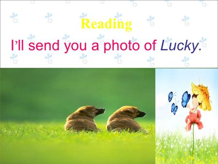 I ’ ll send you a photo of Lucky. Reading. Animal helpers.