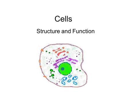 Structure and Function