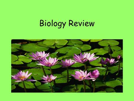 Biology Review. Carbohydrates Monomer- monosaccharide Function- energy source and structure Tests: glucose-Benedicts starch- Iodine fructose Ex. Cellulose,